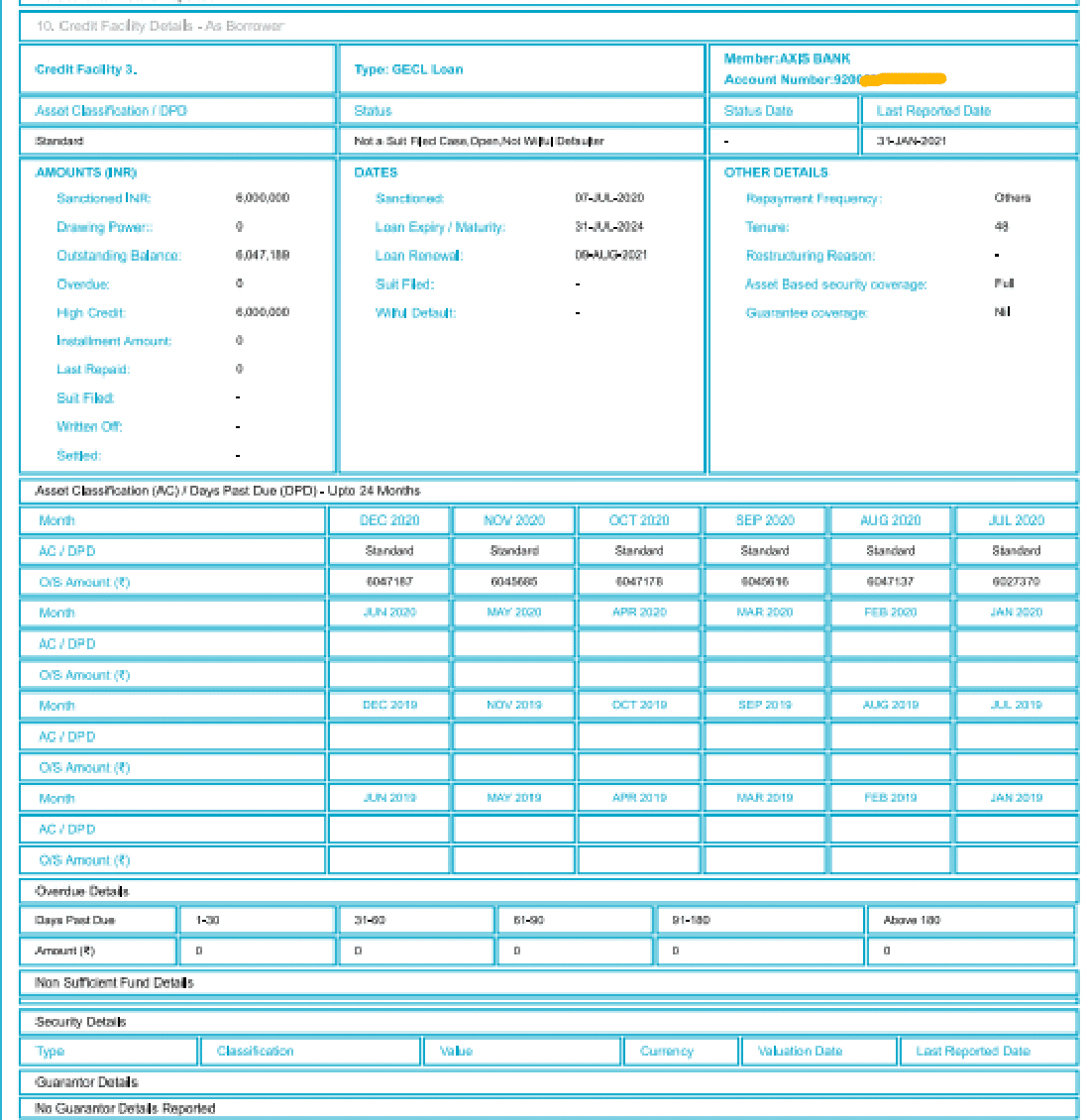 Commercial CIBIL report -Credit Facility Details Borrower