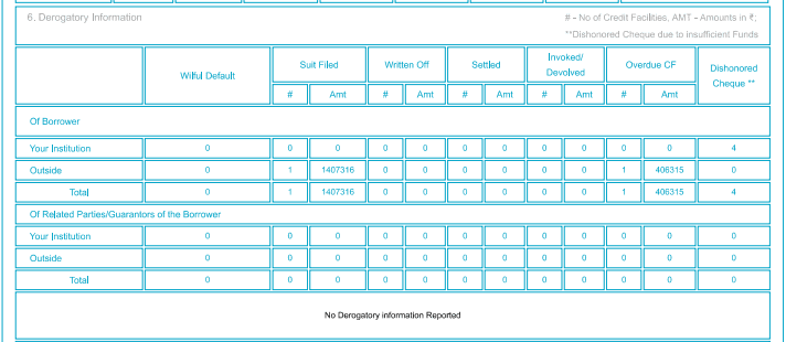 Commercial CIBIL report _Derogatory Information