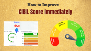 Read more about the article How to improve the CIBIL score immediately?