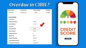 Read more about the article How to remove Overdue from CIBIL report?