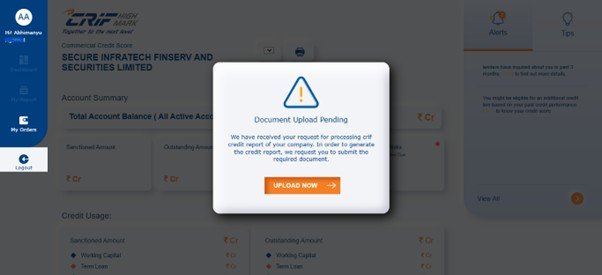 check crif business credit report online_ document updation