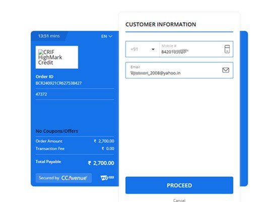 check crif business credit report online payment gateway