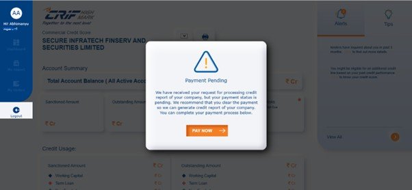 check crif business credit report online payment procedure