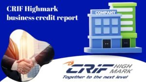 Read more about the article How to check CRIF Business Credit report online?